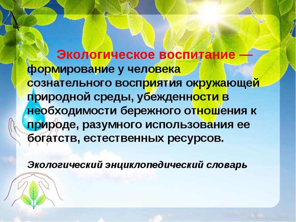 Экологическое воспитание дошкольников в повседневной жизни презентация